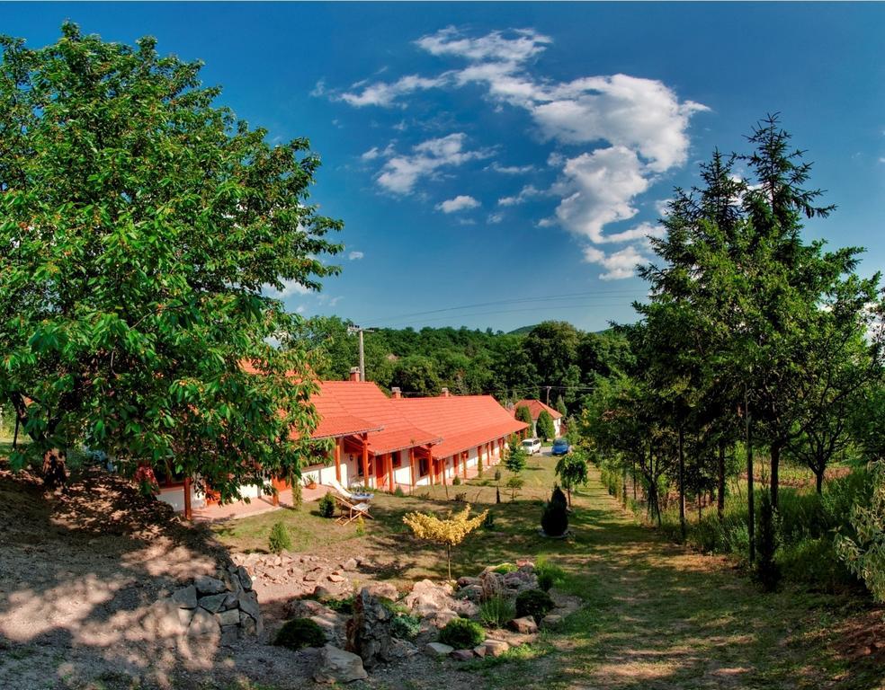 Nyitott Kapu Vendégház Felsőtárkány Extérieur photo